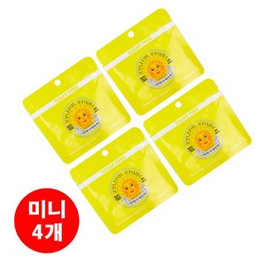 자일리톨 스톤 미니 지퍼백 레몬 30그램 묶음 세트, 30g, 4개