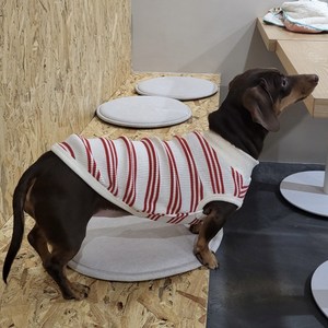 도기스타 닥스훈트옷 고급스트라이프 티셔츠, 레드