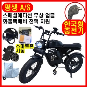 테크앤유 자토바이 RX9 전기자전거 레트로 스페셜에디션, 블랙, 스틸