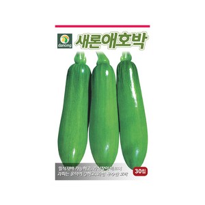새론애호박 씨앗 30립 밀식재배 가능 과형 좋은 품종, 1개