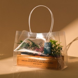 벨라가든 3구 가든박스 소형 화분 반려 식물 [+선물백], 1개, 조합5 (산호수/안스리움/버킨)