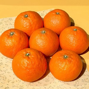 산지 제주 카라향 가정용 흠집, 2kg(가정용 흠집 8-18과)