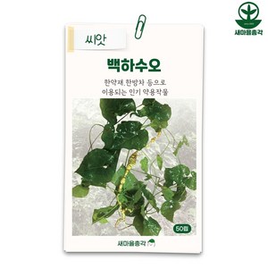 다농 백하수오씨앗 50립 약쵸 한약재 종자, 1개