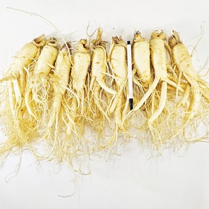 4~5년근 삼 인삼수삼 세척인삼 진공포장 원수삼 특대, (세척)원수삼 특대 9~10뿌리 1kg, 1개