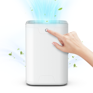 CCAGU 제습기 무소음 미니 제습기 대용량 화장실제습기 스마트 가정용 공기청정기 750ml, HC06