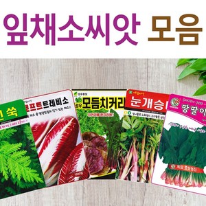 살아있는 씨앗 모음 채소씨앗 상추 쑥갓 궁채 유럽 치커리 루꼴라 치커리 청경채 시금치 파 양파 부추 도라지 곰취 더덕 곤드레 나물 내이 종자, A- 적아삭이맛상추, 1개