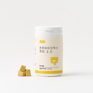수플담 프로바이오틱스 큐브 2.0 강아지 유산균 설사 변비, 장/유산균, 1개