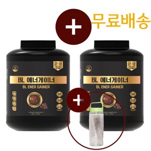 비엘에너게이너 1+1 (3kg+3kg) 단백질 보충제 웨이 프로틴 단백질 벌크업 초코맛, 2개, 42.07g