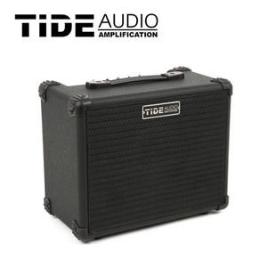 de Audio - Tide ONE B / 15와트 베이스 앰프