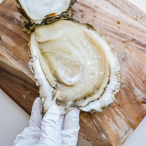 [한정수량] 양식이 아닌 진짜 자연산 바위굴, 1박스, 3kg