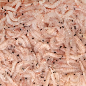 인성크릴 A급 1.5kg 감성돔밑밥 생크릴 백크릴 각크릴 크릴 밑밥 밑밥 집어제, 1개