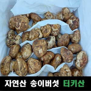 송이버섯 자연산 냉동슬라이스 터키산, 구이전골용 슬라이스손질 1kg, 1개
