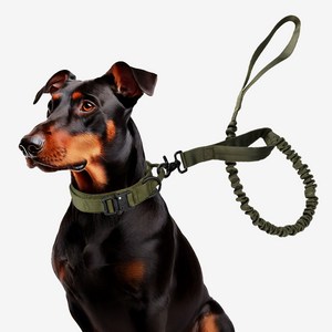 펫리치 강아지 중형견 대형견 목줄 리드줄세트 반려동물 숏리드줄, 카키, 1개