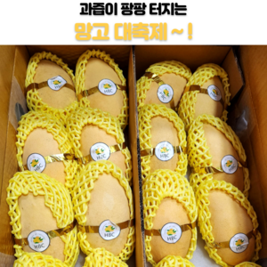[맛배달차] 태국 골드망고 항공직송, 1개, 5kg(14과 내외)