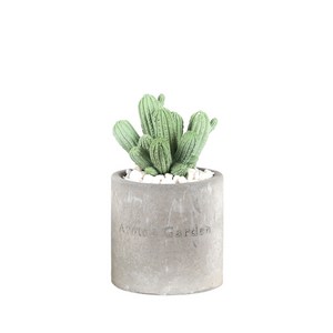 [아로마코]선인장 가든디퓨저(100ml)_피오니, 1개, 100ml