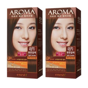 에네스티 아로마 염모제 새치머리용, 5/1 밝은갈색, 2개