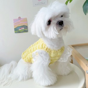 매일그개와 강아지 티셔츠 여름 뽀글이 원피스, 옐로우