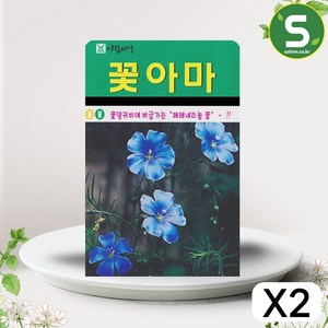 솔림텃밭몰 꽃아마씨앗 200립 꽃아마 꽃씨앗 꽃씨 페네리늄꽃, 2개