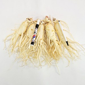 6년근 삼 인삼수삼 세척인삼 진공포장 원수삼, (세척)원수삼 5뿌리 1kg, 1개