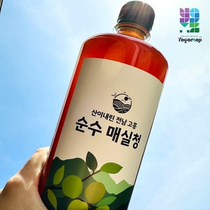 산이내린 전남 고흥 순수 매실청, 1개, 1개입, 1kg