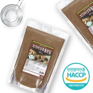 차가버섯추출분말 500g HACCP 인증제품, 5개