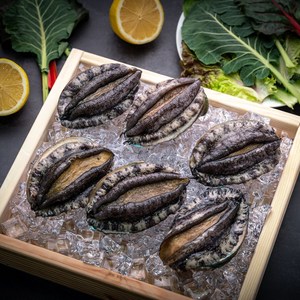 진도아라전복 직영 생산자직송 활 전복 1Kg, 초특대복 6~7미 1Kg