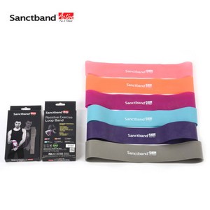 샌트밴드 루프밴드, Lv3 퍼플