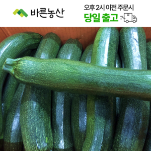 < 바른농산 > 국내산 주키니호박 쥬키니호박 못난이, 1개, 5kg” loading=”lazy” style=”width: object-fit; max-width: 100%; max-height: 300px; display: block; margin: 0 auto;”>
        </div>
<div style=