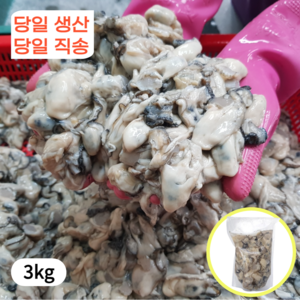 1급청정해수 통영 생 굴 산지직송, 1박스, 3kg