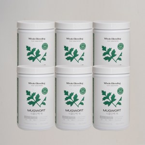 [홀블렌딩 식물단백 쑥] 약사가 만든 무첨가제 비건인증 Non-GMO 단백질22g 특허 식물성 완두콩 효소 단백질쉐이크 630g 홀블랜딩 2주분, 쑥, 6개