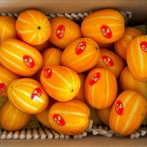 [고당도 정품] 달콤 아삭 성주 꿀 참외, 2kg, 1개