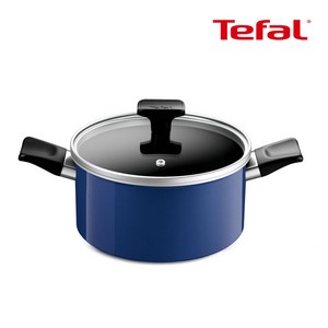 테팔 인덕션 티타늄 세이버리 양수냄비 20cm, 1개, 상세 설명 참조