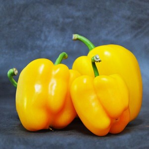 [한아름드린] [농협] 실속 노랑 파프리카 2kg(상/가정용), 1개, 상세 설명 참조