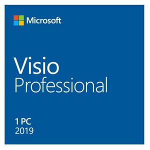 MS Visio Professional 2019 영구기업용License