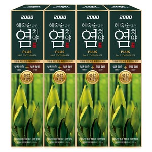 2080 플러스 염 치약, 120g, 4개