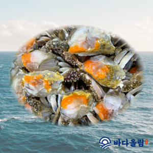 바다올림 연평도 급냉 알배기 절단 손질 암꽃게 5kg, 1박스