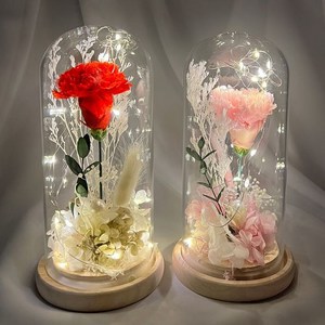 프리저브드 카네이션 유리돔 LED 꽃 무드등 어버이날 선물, 프리저브드 카네이션 무드등 (소) 레드, 프리저브드 카네이션 무드등 (소) 레드