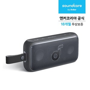 앤커 사운드코어 모션300 30W 방수 블루투스스피커 A3135, 스페이스 그레이, A3135011