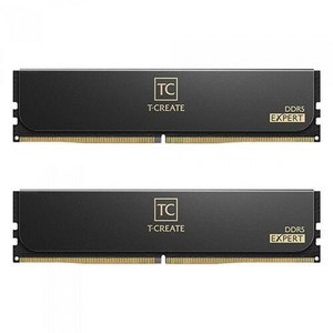 TeamGroup T-CREATE DDR5-6000 CL30 EXPERT 패키지 서린 (32GB(16Gx2)), 2개