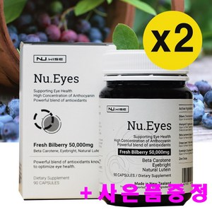 뉴와이즈 Nu Eyes 뉴질랜드 빌베리 루테인+베타카로틴+마리골드 90정, 2개