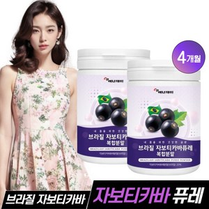 브라질 자보티카바 퓨레 열매 자보디카바 분말 효능, 2개, 120g