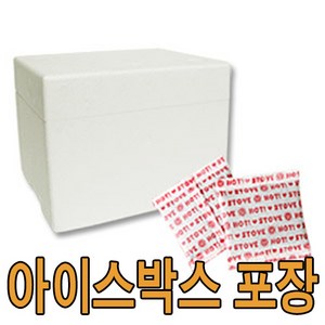 밀웜나라 살아있는 밀웜, 대(아이스박스), 안전포장