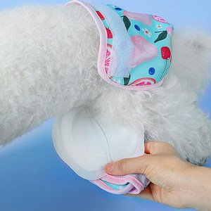 애견 팬티 속 기저귀 생리대 60매 일회용 패드 팬티, 60개, 본상품선택