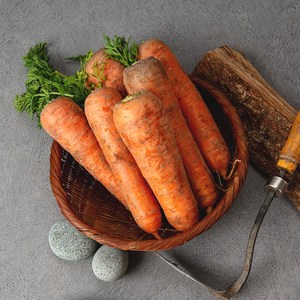 국내산 100% 아삭달큰한 당근 왕, 10kg(왕), 1개
