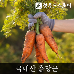 정푸드스토어 국내산 햇 당근 흙당근, 1박스, 국내산 흙당근 2kg(특/요리용)