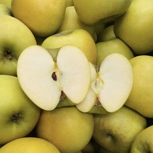 [재구매율 1등]시나노골드 사과 새콤달콤 꿀사과 3kg 5kg 10kg(옵션별 실중량 3kg 4.5kg 9kg), 1개, 골드 3kg(실중량3kg) 소과(15-17)