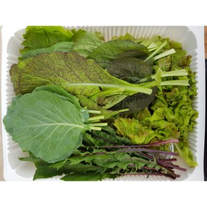 [농업회사법인 믿음의 집] 무농약 친환경 할머니 쌈채소 1kg (수제쌈장포함), 700g(1개), 1개