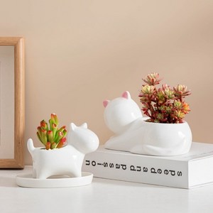 더보이 다육 화분 고양이 도자기 미니 화분, 1개