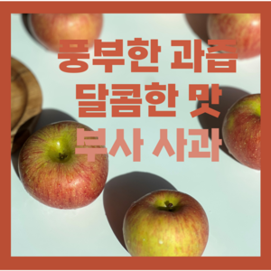 아삭 아삭 가정용 꿀 부사 사과 프리미엄 선물용, 1박스, 중과2kg(8~12)개