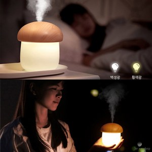 [LMStar]버섯 가습기 탁상용 사무실용 LED무드등 USB가습기 판, 버섯가습기 연비치브라운